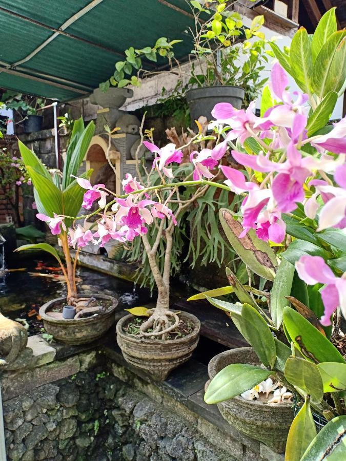 Degeg Ubud Homestay ภายนอก รูปภาพ